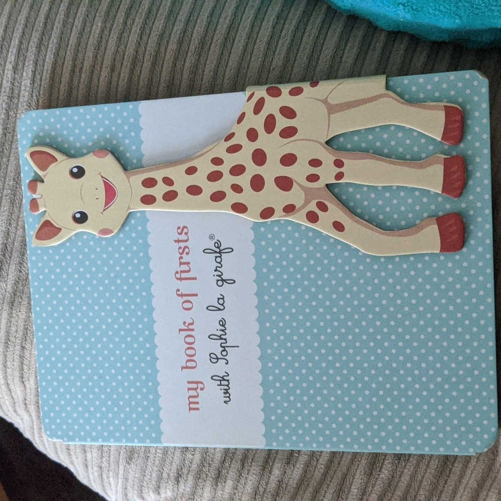 My firsts book